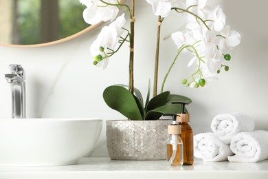 Photo of Bottles with dispenser caps, houseplant and towels on white table in bathroom