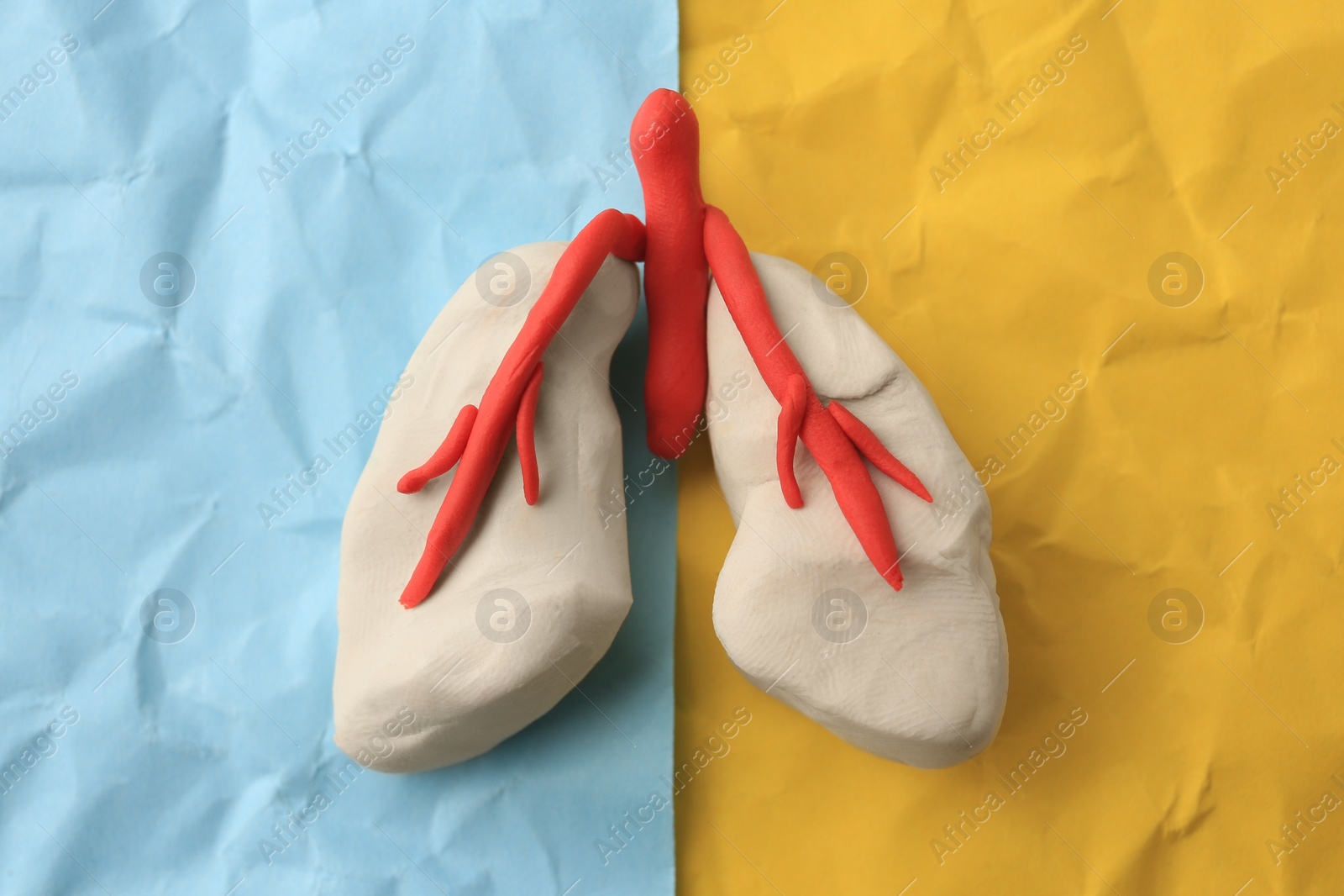 Photo of Human lungs made of plasticine on color crumpled paper, top view