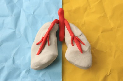 Human lungs made of plasticine on color crumpled paper, top view