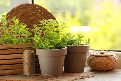 Aromatic potted oregano on wooden windowsill indoors