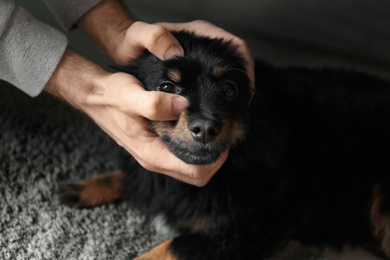 Photo of Man hurting dog at home, closeup. Domestic violence against pets