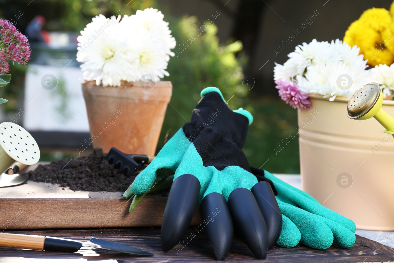 Photo of Gardening gloves and different flowers on table outdoors