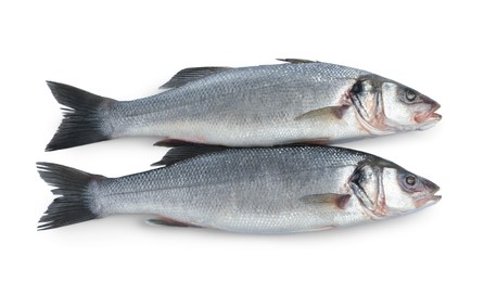 Photo of Fresh sea bass fish on white background, top view