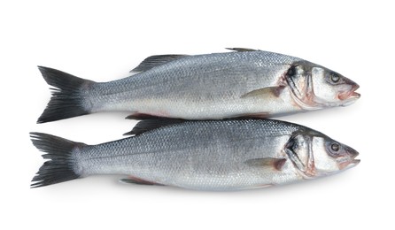 Fresh sea bass fish on white background, top view