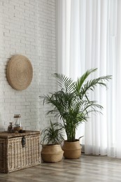 Photo of Beautiful green potted plants in stylish room interior