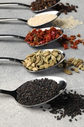 Metal spoons with different spices on light grey table, closeup