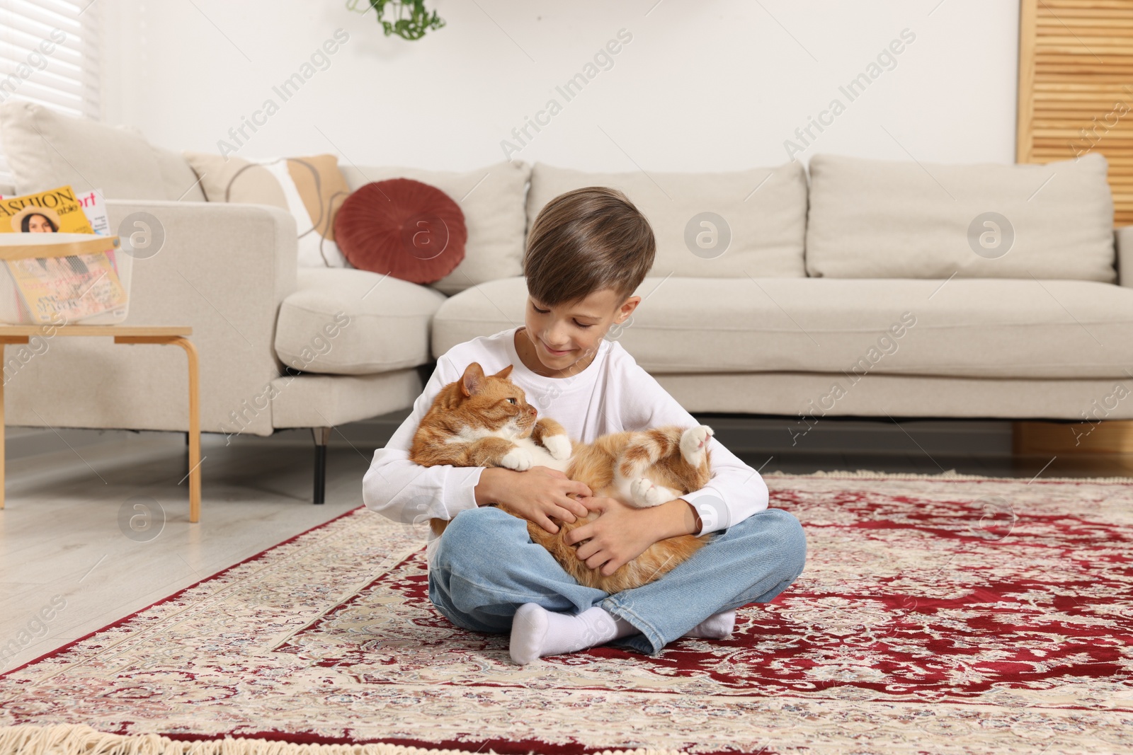 Photo of Little boy with cute ginger cat on carpet at home