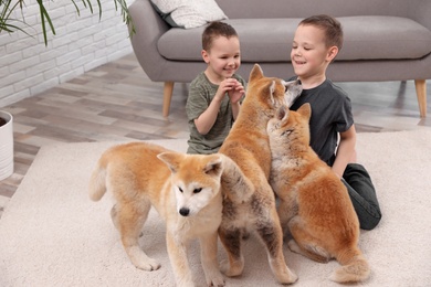 Happy boys with Akita Inu dogs on floor in living room. Little friends