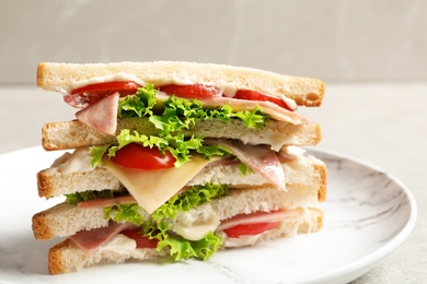 Tasty toast sandwich on plate. Wheat bread