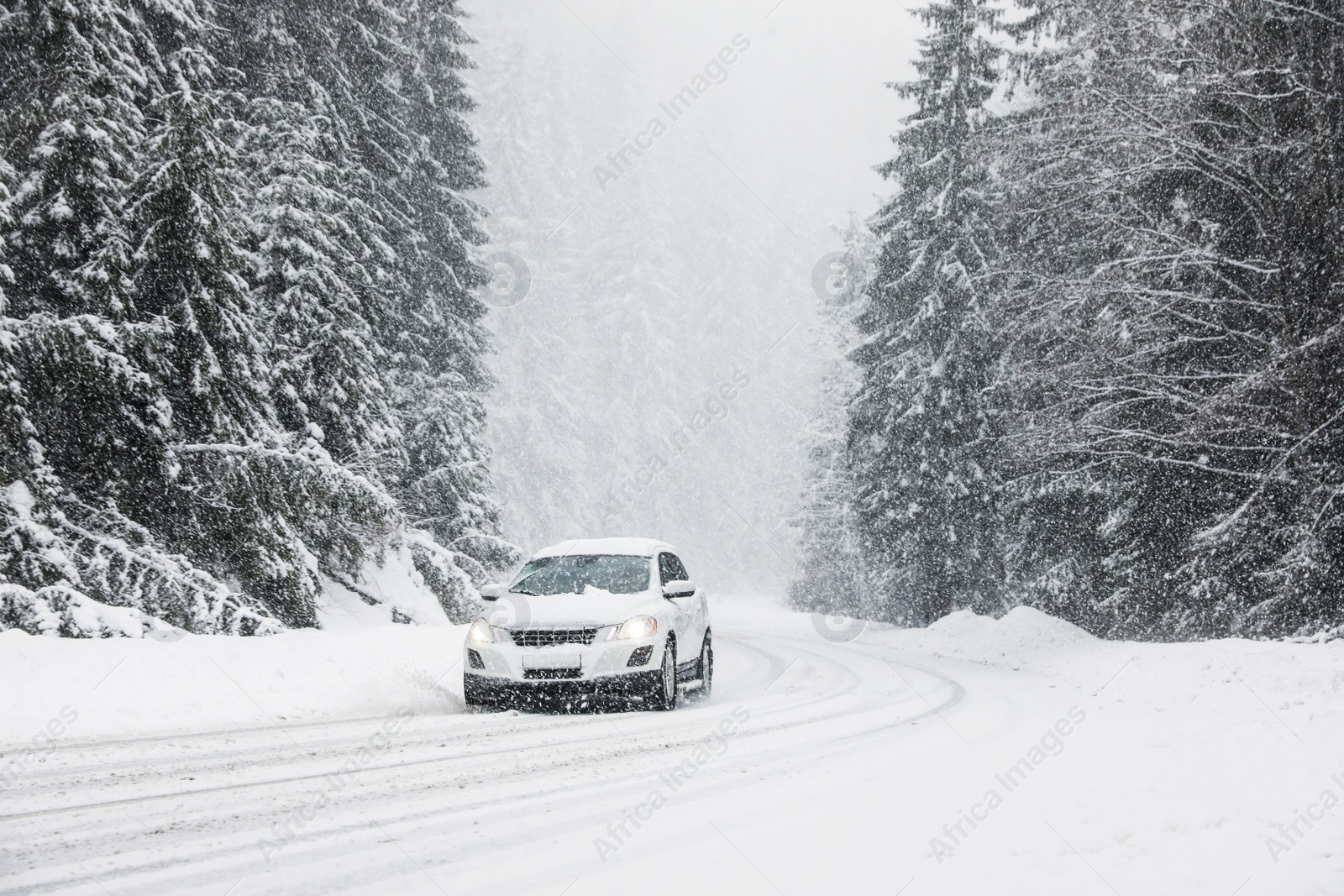 Photo of Modern car on snowy road near forest. Winter vacation
