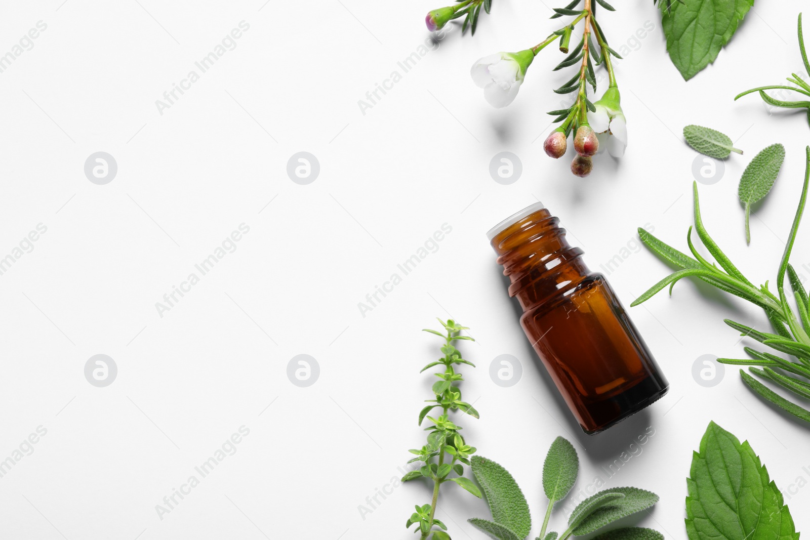 Photo of Bottle of essential oil and different herbs on white background, flat lay. Space for text