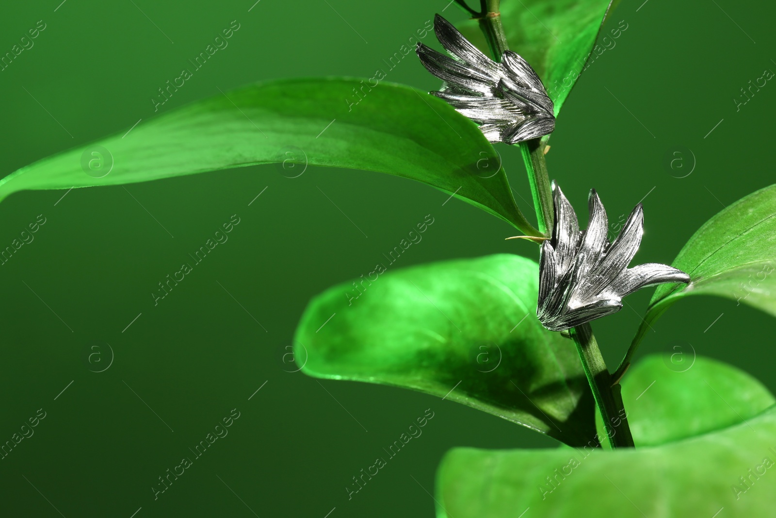 Photo of Stylish presentation of elegant earrings on plant against green background, closeup. Space for text