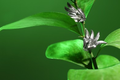 Stylish presentation of elegant earrings on plant against green background, closeup. Space for text