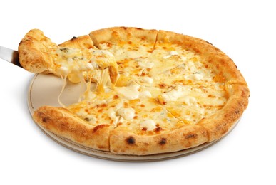 Taking piece of delicious cheese pizza on white background