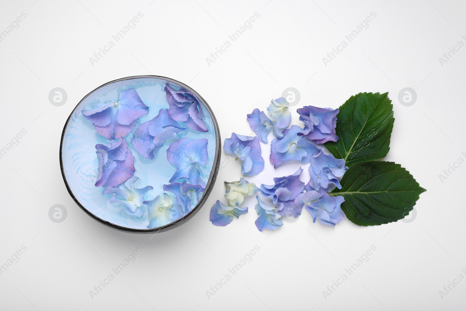 Photo of Spa composition. Aromatic water in bowl, flowers and leaves on white background, flat lay