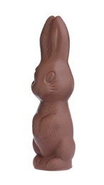 Photo of Chocolate bunny isolated on white. Easter celebration