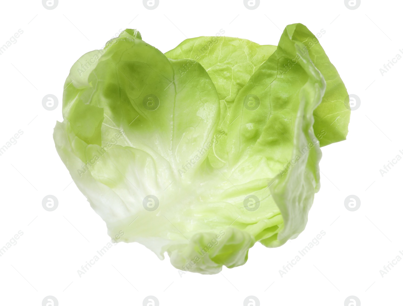 Photo of Fresh leaf of green butter lettuce isolated on white