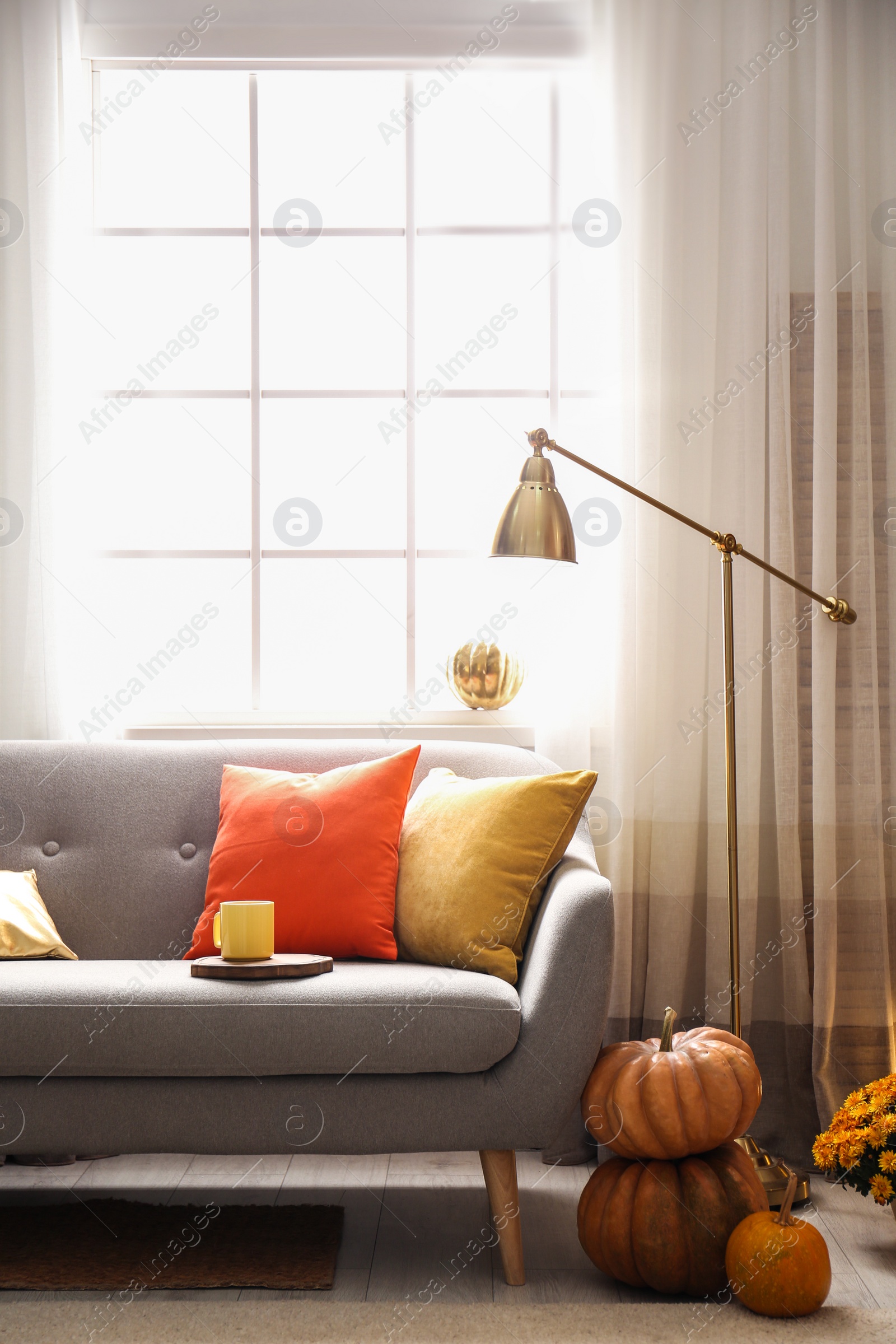 Photo of Cozy living room interior inspired by autumn colors