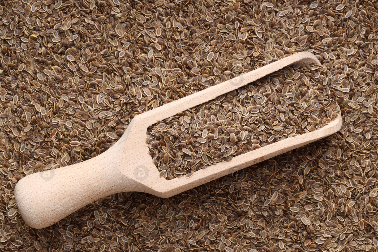 Photo of Dry dill seeds and wooden scoop, top view