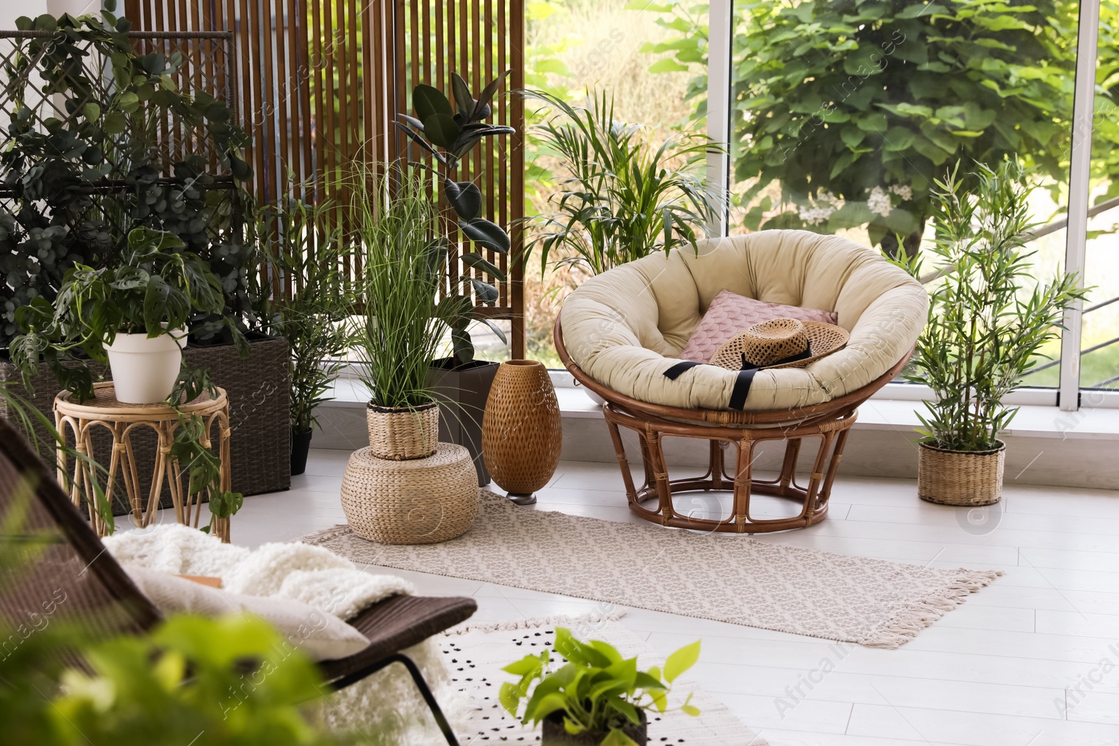 Photo of Indoor terrace interior with soft papasan chair and green plants