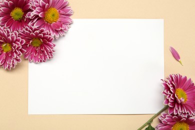 Beautiful chrysanthemums and blank card on beige background, flat lay. Space for text