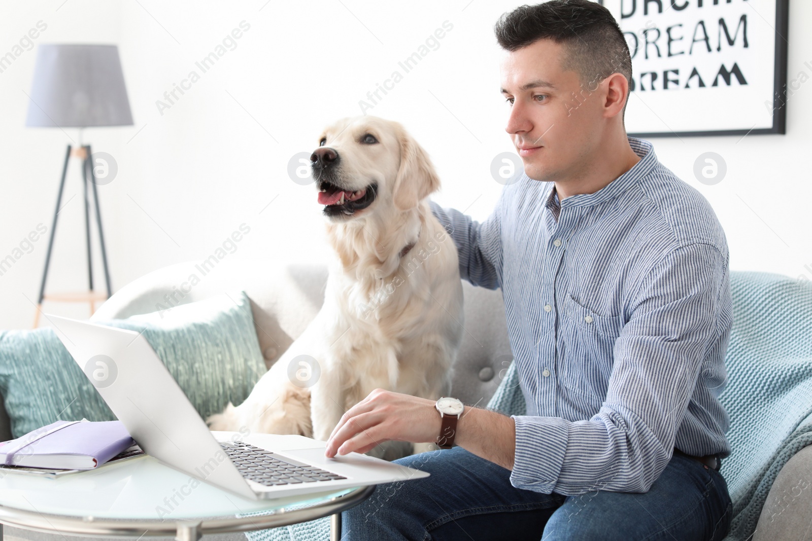 Photo of Portrait of owner with his friendly dog using laptop at home