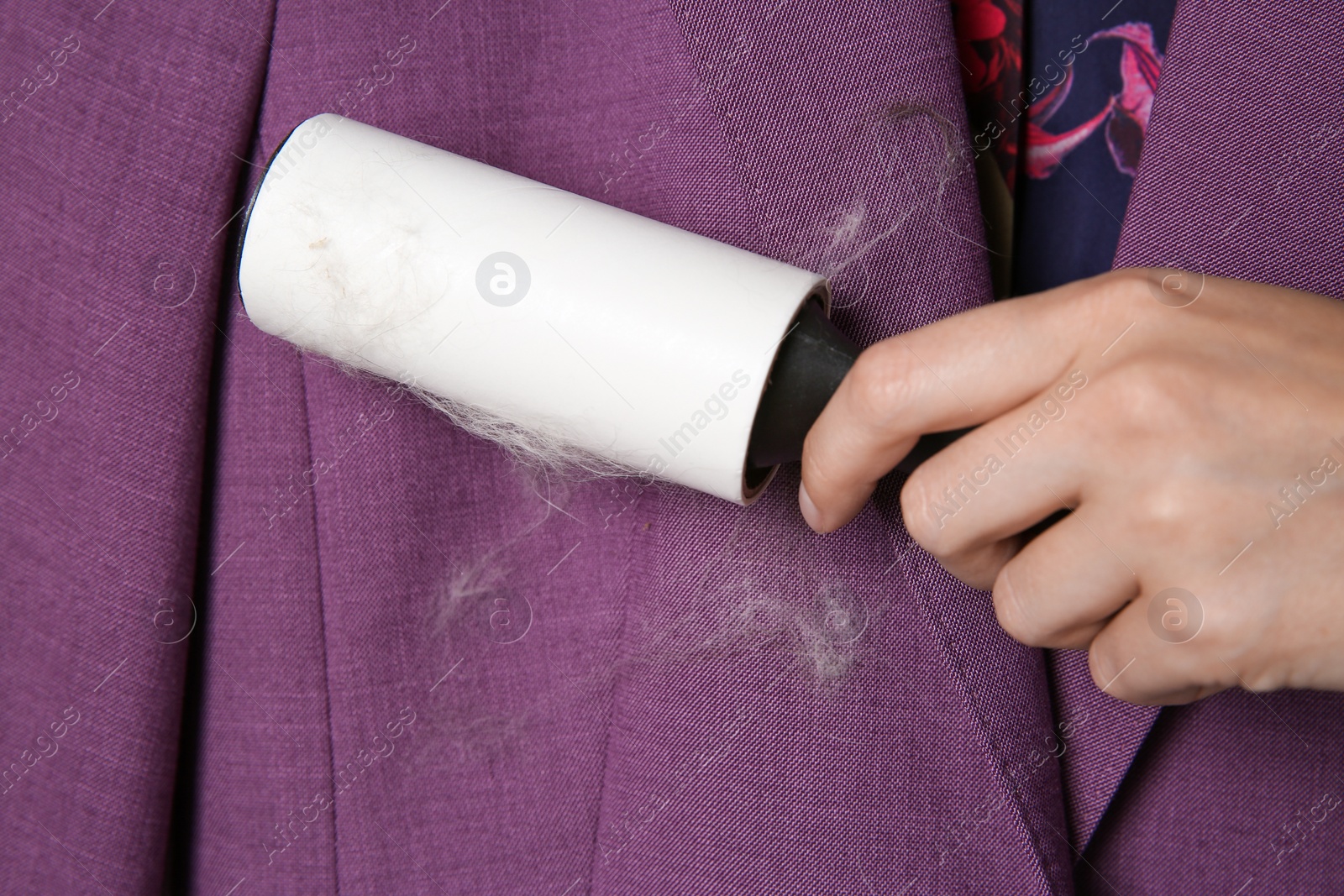 Photo of Woman removing hair from purple jacket with lint roller, closeup