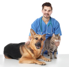 Photo of Veterinarian doc with dog and cat on white background