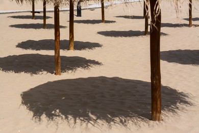 Photo of Shadows from umbrellas on sandy beach. Tropical resort