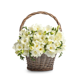 Photo of Beautiful freesia flowers in basket on white background