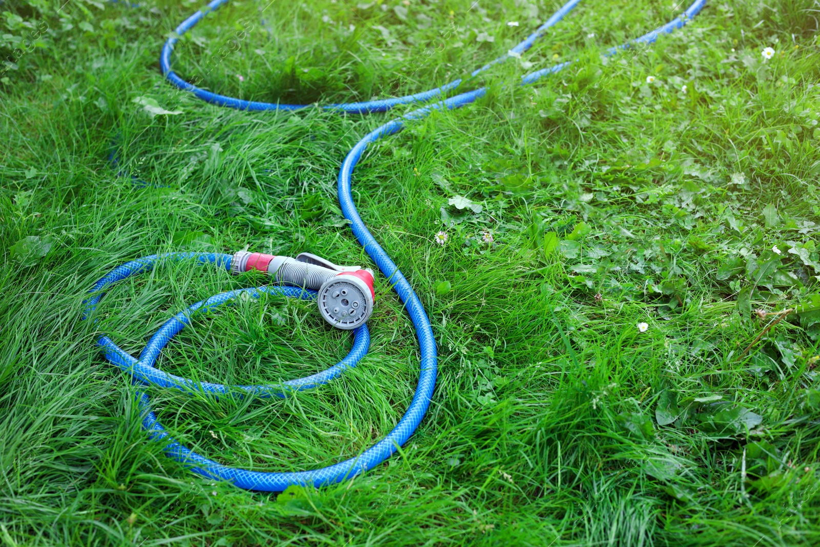 Photo of Watering hose with sprinkler on green grass outdoors, space for text