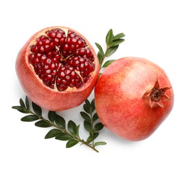 Whole and piece of fresh pomegranates with branches isolated on white, top view