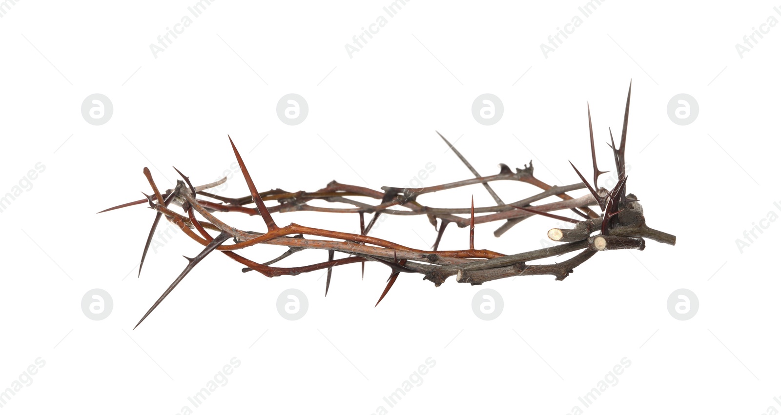 Photo of Crown of thorns isolated on white. Easter attribute