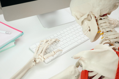 Human skeleton at table in office, closeup