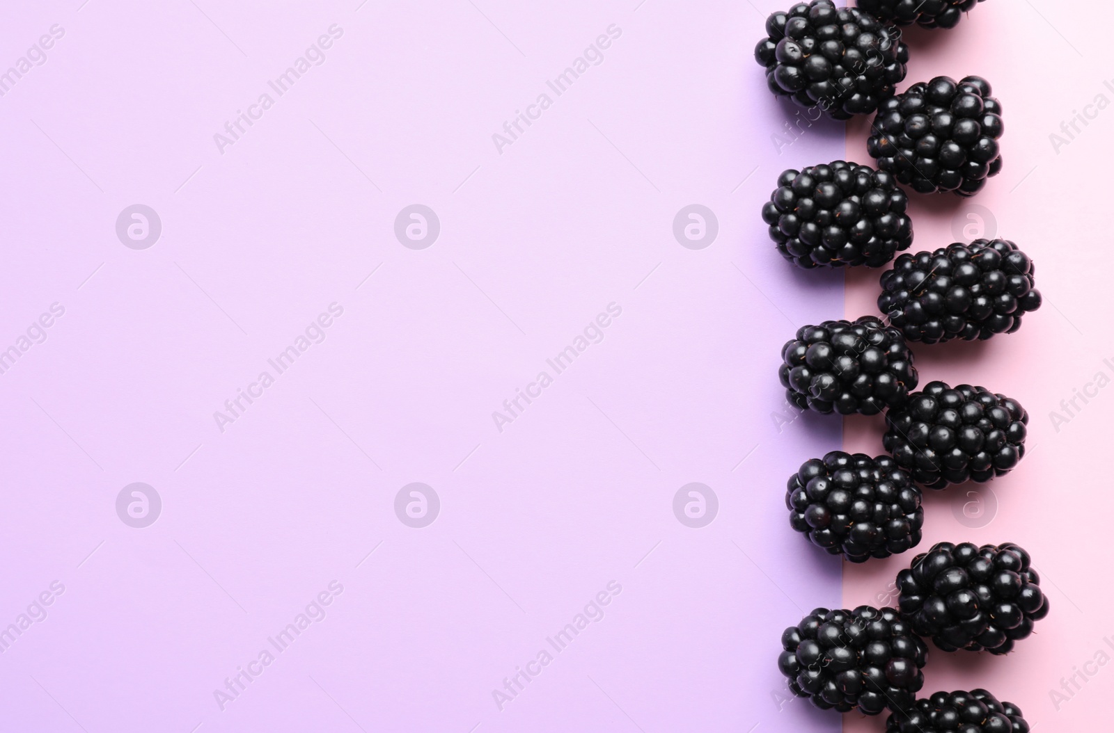 Photo of Tasty ripe blackberries on color background, flat lay. Space for text