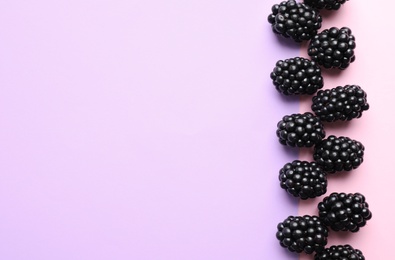 Tasty ripe blackberries on color background, flat lay. Space for text