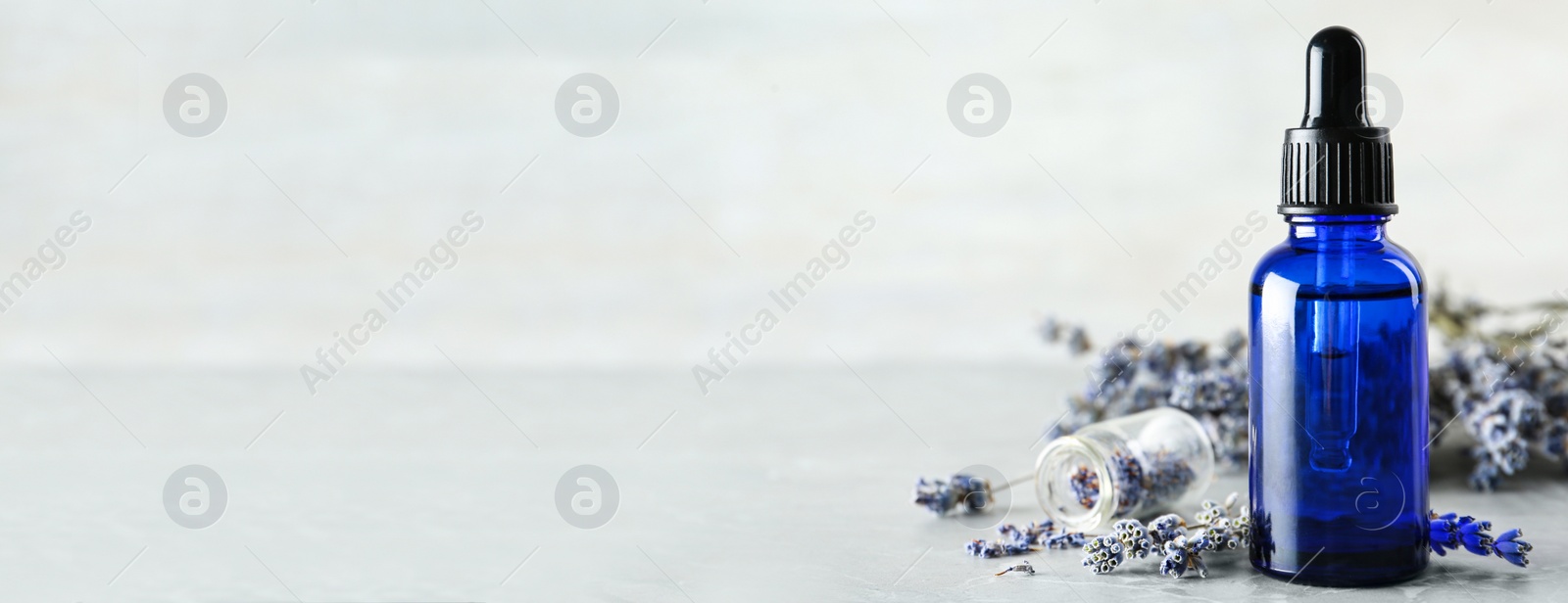 Image of Bottle of natural essential oil and lavender flowers on light background, space for text. Banner design