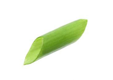 Photo of Piece of fresh green onion isolated on white
