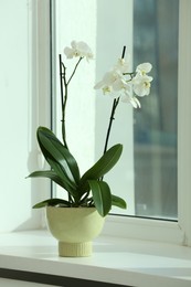 Photo of Blooming white orchid flower in pot on windowsill