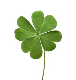 Photo of Green four leaf clover isolated on white