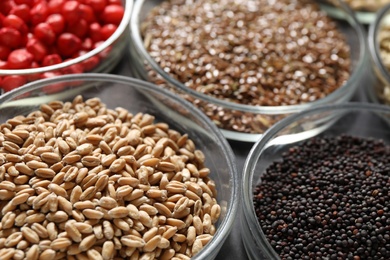 Petri dishes with treated seeds on table, closeup. Laboratory analysis