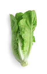 Fresh green romaine lettuce on white background, top view