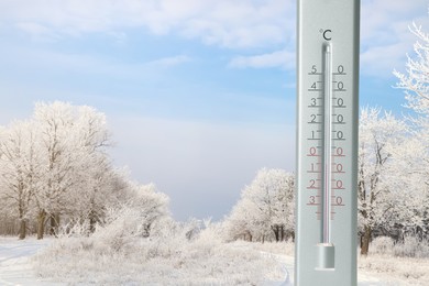 Image of Weather thermometer and view of snowy forest, space for text