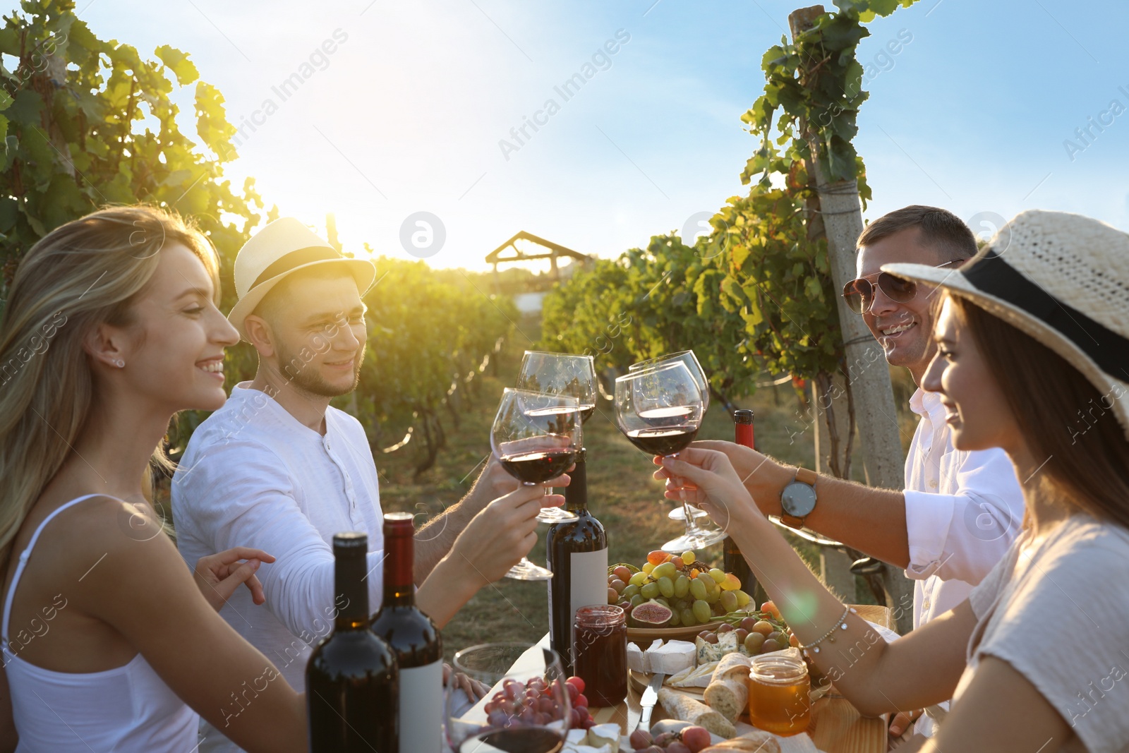 Photo of Friends holding glasses of wine and having fun in vineyard