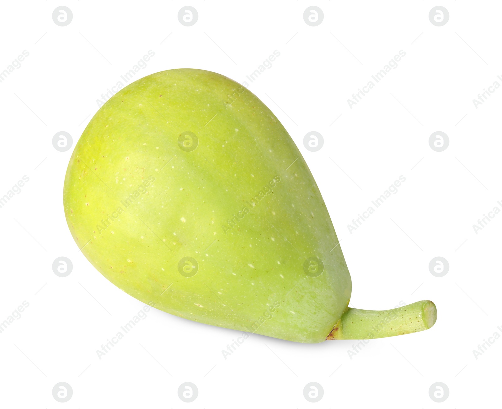 Photo of One fresh green fig isolated on white