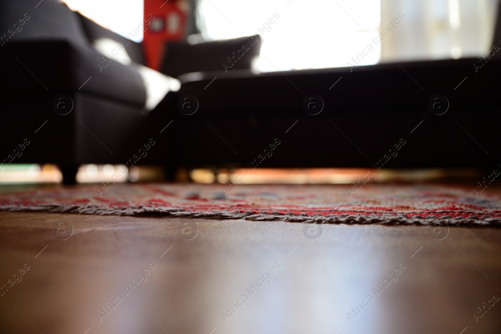 Photo of Living room with beautiful carpet and sofa, low angle view