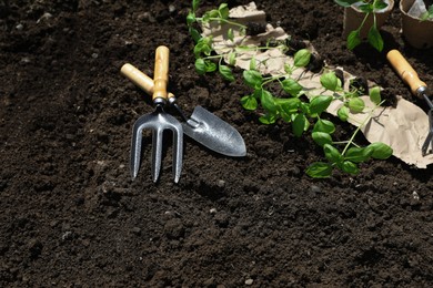 Many seedlings and different gardening tools on ground outdoors. Space for text