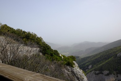 Photo of Picturesque view of green forest in mountains