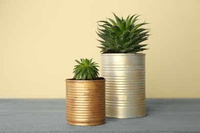 Beautiful houseplants in tin cans on grey wooden table