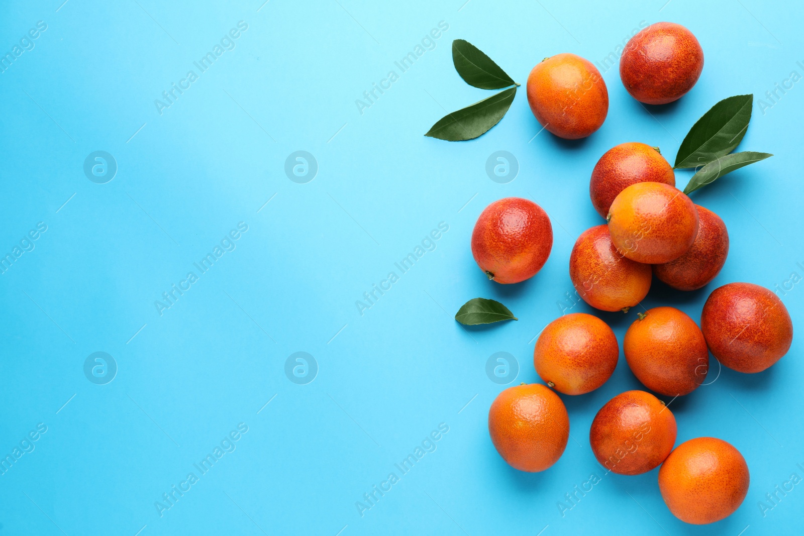 Photo of Many ripe sicilian oranges and leaves on light blue background, flat lay. Space for text